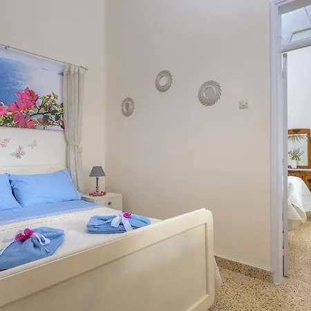 Rhodes Heaven Jasmine *